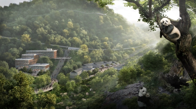 Sasaki projeta reserva natural para a preservação do urso panda na China - Imagem de Destaque