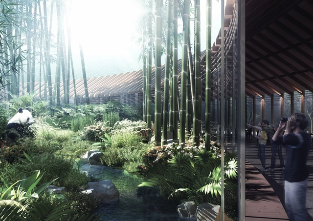 HASSELL 公布“熊猫之都”规划方案，建立人与熊猫的心理学联系 - 主图