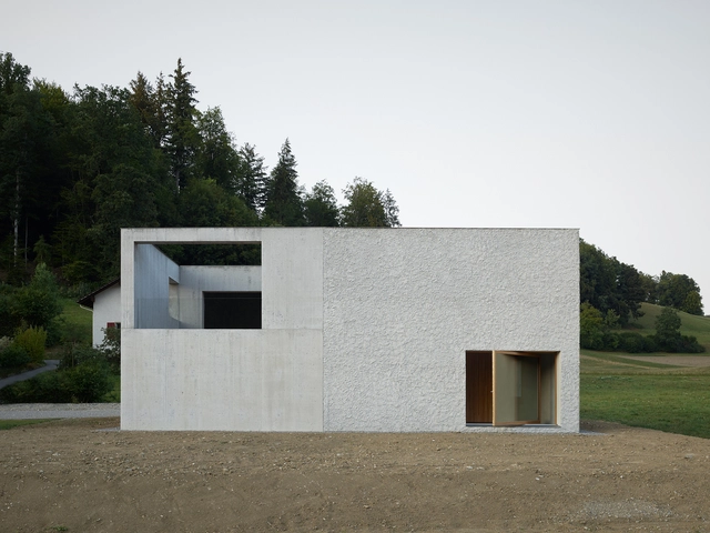 多代住宅 / Gautschi Lenzin Schenker 建筑事务所 - 独立住宅