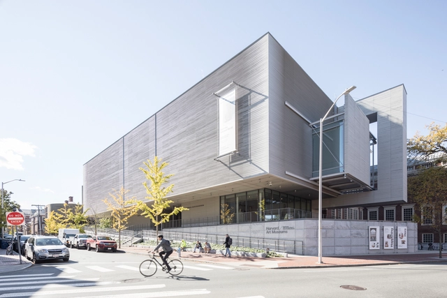 La renovación de Renzo Piano para los Museos de Arte de Harvard - Imagen Principal