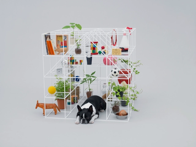 Kazuyo Sejima, Toyo Ito e Sou Fujimoto criam arquiteturas caninas para exposição na Japan House SP - Imagem de Destaque