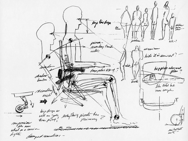 Entendiendo el cuerpo humano: ¿Cómo diseñar para personas de todas las formas y tamaños? - Imagen Principal