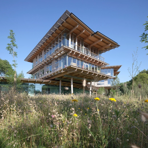 Campus Quiksilver Na Pali  / Patrick Arotcharen - Extension