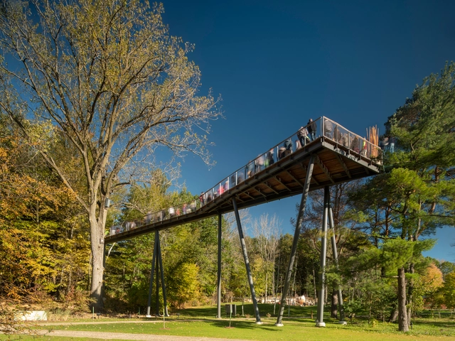 Mirador del bosque Dow Gardens / Metcalfe - Puente Peatonal