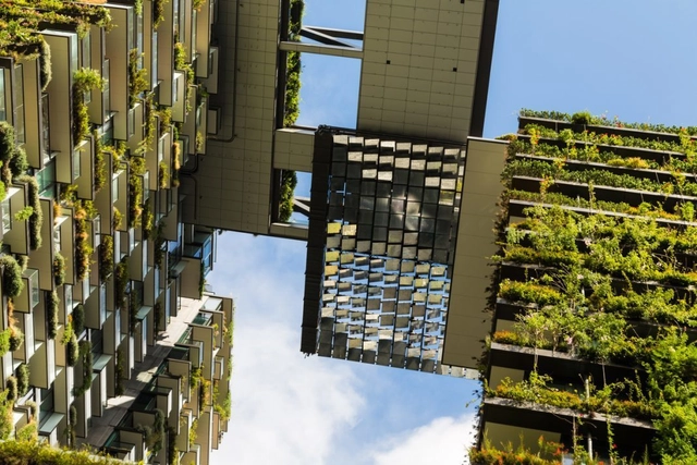 UMAPaz oferece curso gratuito de construção sustentável em São Paulo - Imagem de Destaque