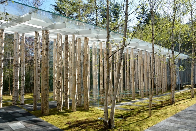 Capilla Birch Moss / Kengo Kuma and Associates - Capilla