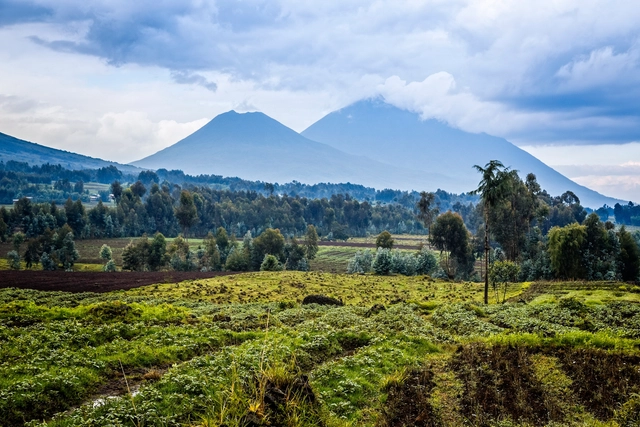 Rwanda Chapel: Call for Entries - Featured Image