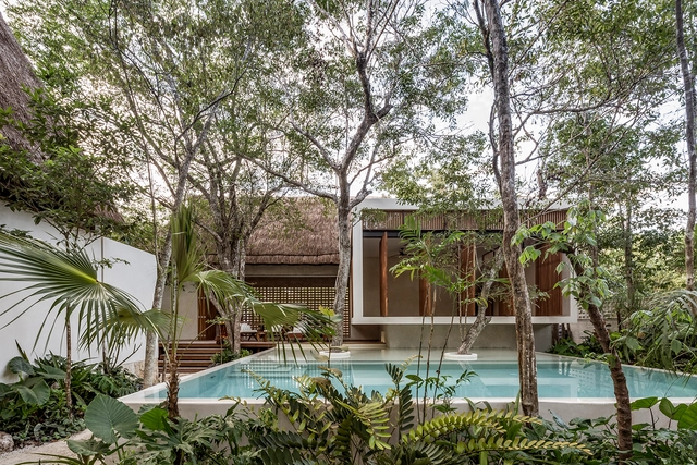 Selva Keva / Jaque Studio - Hotéis