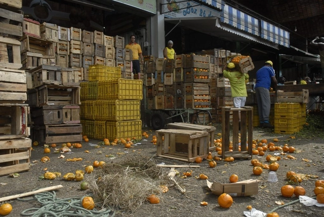 ONU pretende integrar políticas de alimentação ao planejamento urbano - Imagem de Destaque