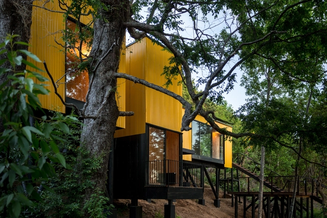 Yellow House / Alejandro Soffia - Casas, Jardín, Escaleras, Fachada, Bosque