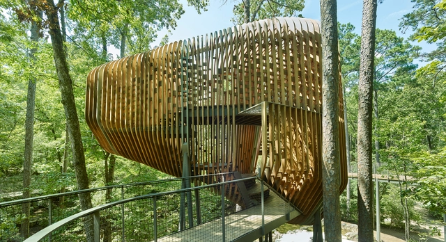 Casa del árbol de Evans en Garvan Woodland Gardens / modus studio - Otras Estructuras