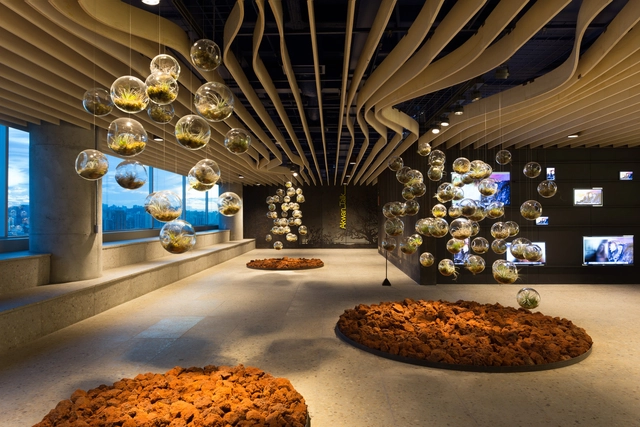 Centro de Engenharia Google Belo Horizonte / BCMF Arquitetos + MACh Arquitetos - Edifícios Institucionais, Iluminação