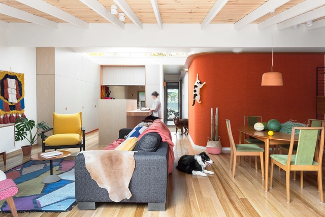 Casa de Gatos / WOWOWA Architects - Renovación