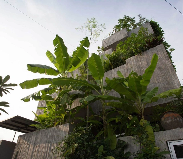 Urban Farming: Food Production in Community Parks and Private Gardens - Featured Image