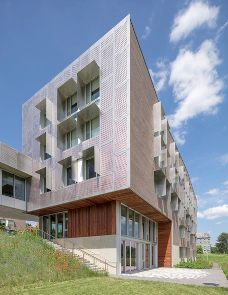 Amherst 学院学生公寓 / Kyu Sung Woo Architects  - 大学