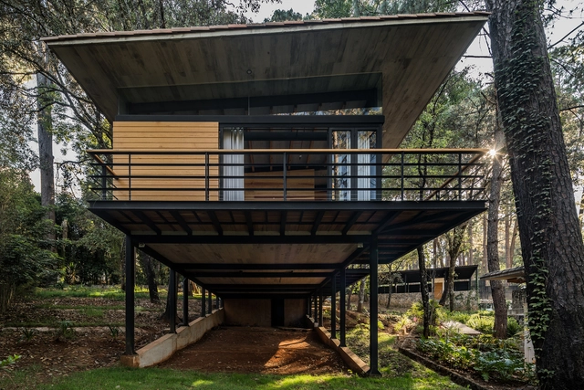 Casa Luzia / saavedra arquitectos - Casas, Bosque