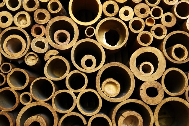 O bambu na arquitetura: design de conexões estruturais - Imagem de Destaque