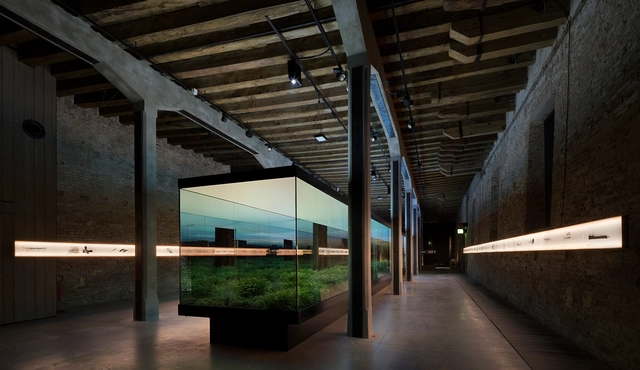 La presencia argentina en la Bienal de Venecia a través del tiempo - Imagen Principal