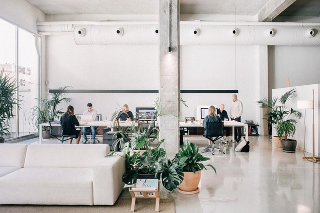 Gomis 34 Office / MESURA - Offices Interiors