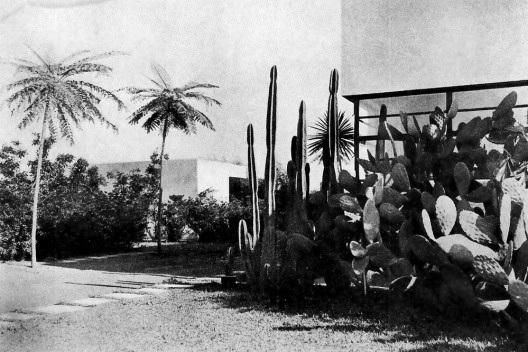 Os jardins de Mina Klabin Warchavchik: modernidade pública e privada - Imagem de Destaque