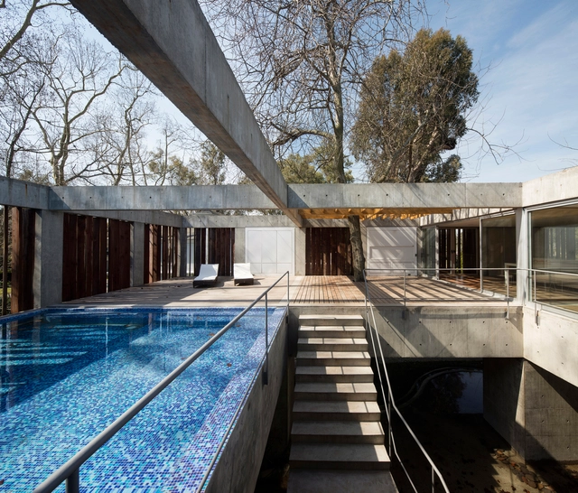 Tree House / Estudio Botteri-Connell - Houses