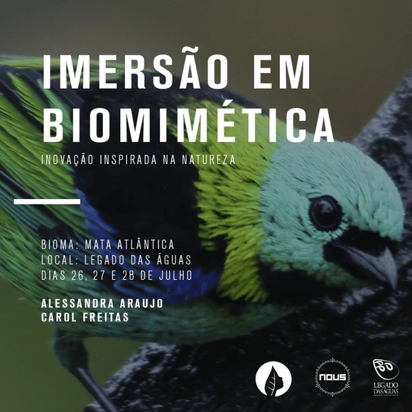 Imersão em Biomimética - Imagem de Destaque