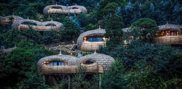 Bisate Lodge / Nicholas Plewman Architects - Sustentabilidade, Jardim, Floresta