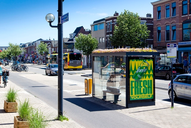 Utrecht crea 300 paradas de autobuses con techos verdes para abejas - Imagen Principal