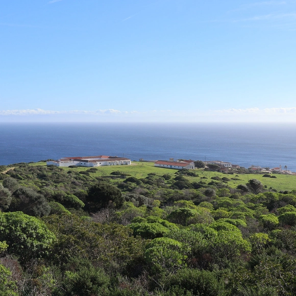 AA Visiting School Asinara - Casting Castaways - Featured Image