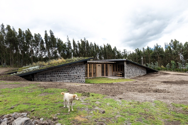 Casa Patios / Rama Estudio - Casas, Bosque
