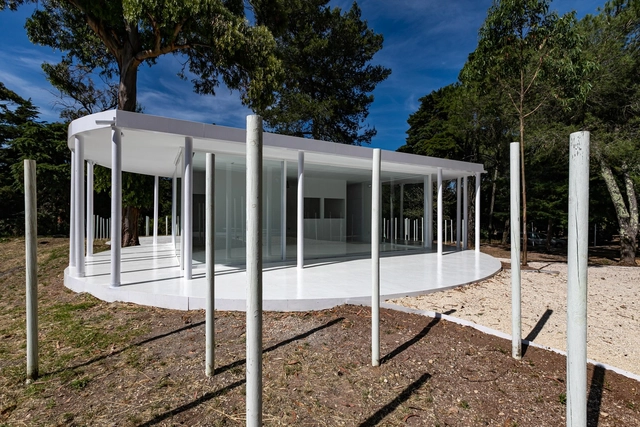 Bosque Blanco en Monsanto  / Bruno Camara Arquitectos - Parque