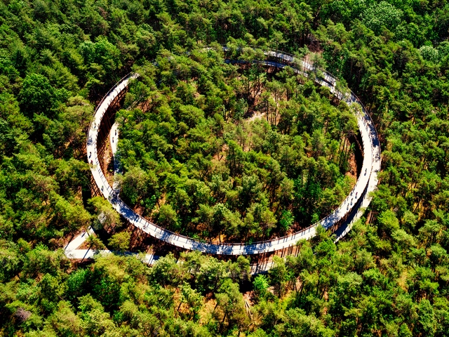 ‘生命之环’，比利时林堡自行车道 / Burolandschap - 其他建筑