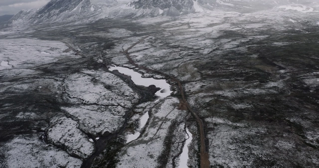 Cinematic Documentary Shows Journey of Landscape Healing  - Featured Image