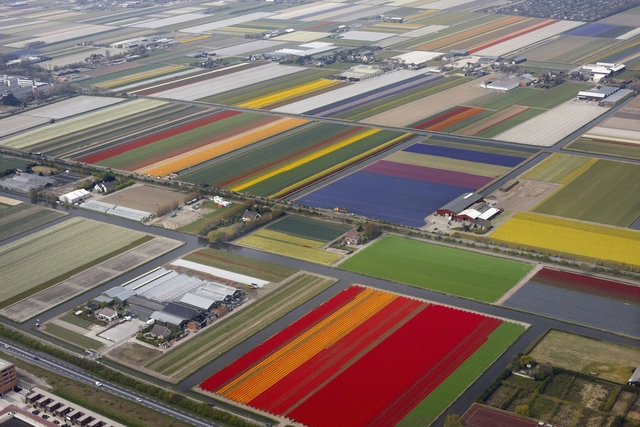 ¿Cómo será el campo cuando todos vivamos en ciudades? - Imagen Principal