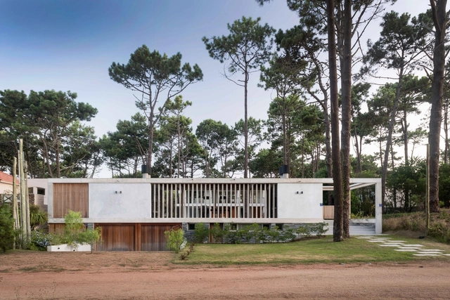 Casa kozu / Martin Gomez Arquitectos - Casas