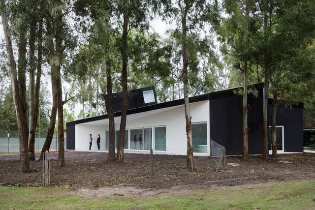 Casa entre árvores / Diego Arraigada Arquitecto - Casas