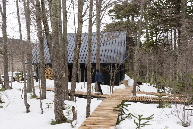 Casa BT / Francisco Boetsch Tagle - Casas, Puerta, Escaleras, Bosque