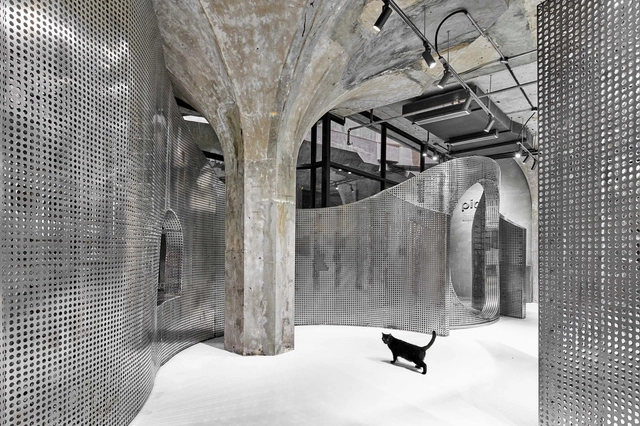 Cats in the Right Place at the Wrong Time in Architectural Photography - Films & Architecture