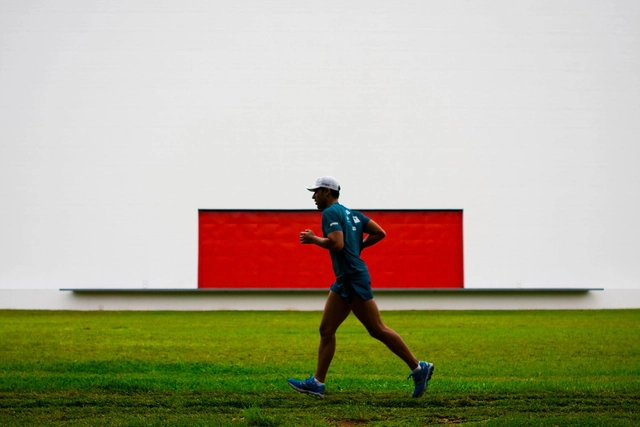 Justiça de São Paulo libera a concessão do Parque Ibirapuera para a iniciativa privada - Imagem de Destaque