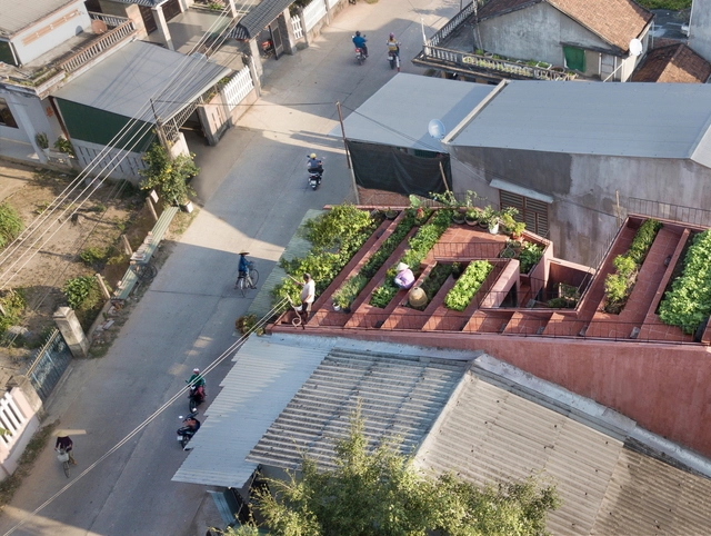 El Techo Rojo / TAA DESIGN - Casas