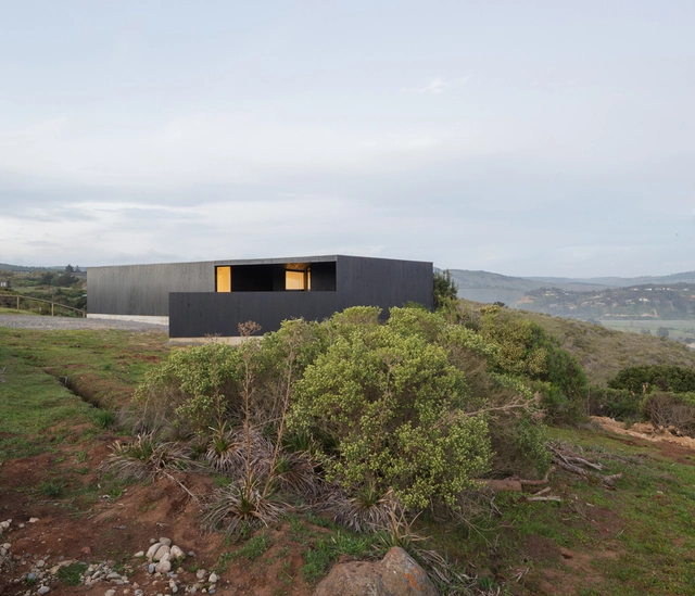 Casa del Peumo / WHALE! - Casas, Fachada