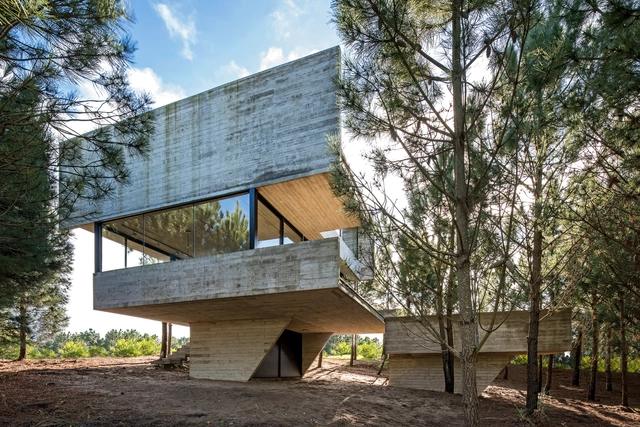 Casa en los árboles / Luciano Kruk - Casas, Fachada