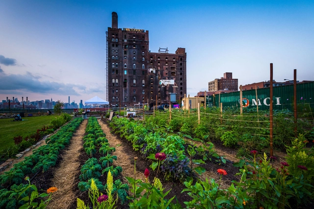 FoodCAMP: How Food Makes Better Cities and Vice Versa - Featured Image