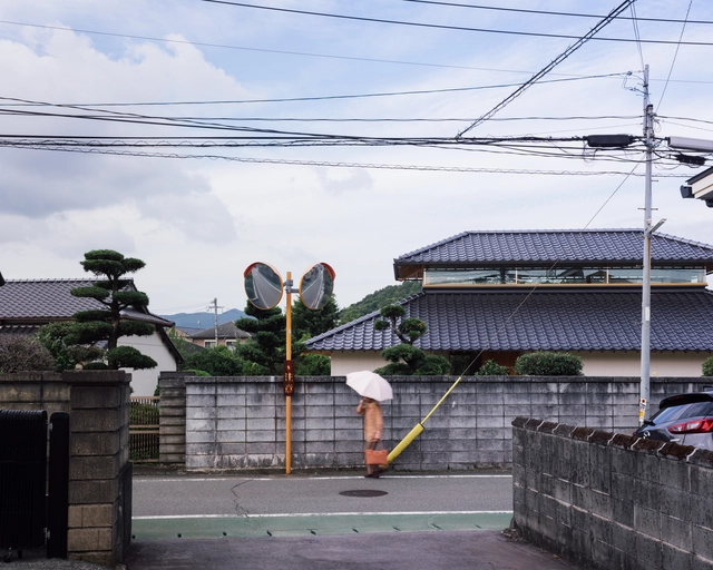 松桥之屋，结构下的空间次序 / 中野晋治建筑研究室 - 独立住宅