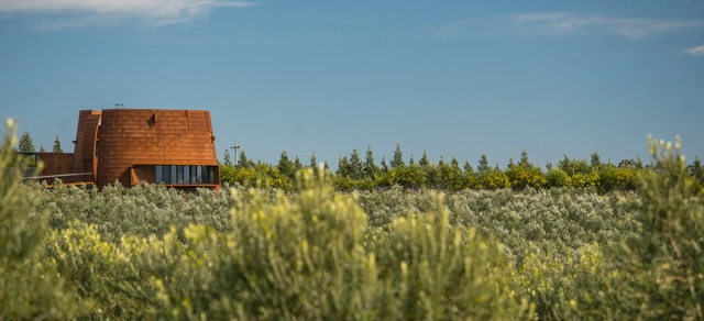 Bodega Oceánica José Ignacio O'33 / Marcelo Daglio Arquitectos - Viña