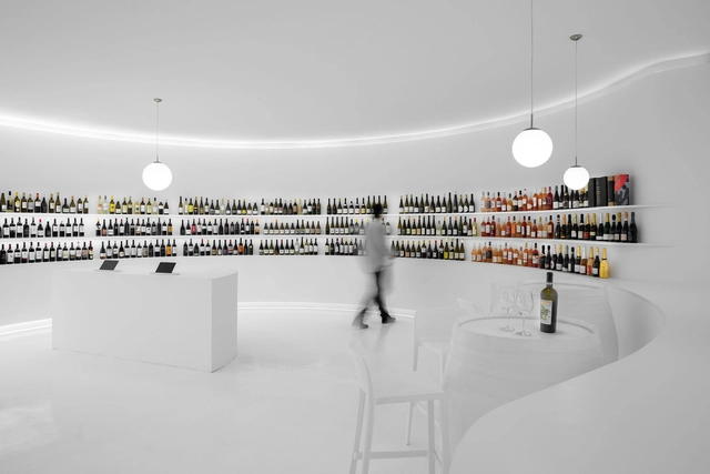 葡萄牙概念红酒店 / Porto Architects - 商店