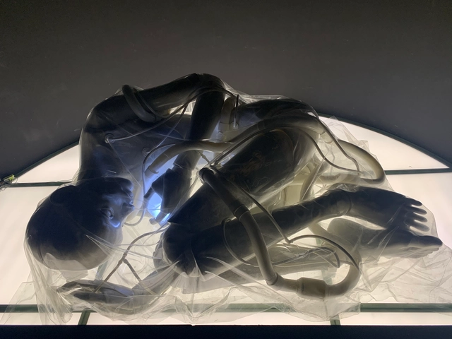 The Convergence of People, Cities, Nature, and Technology: A Review of the Shenzhen Biennale - Featured Image