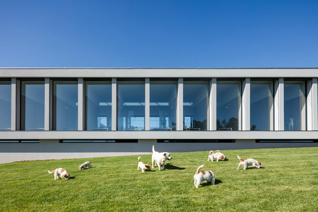 Canine and Feline Hotel / Raulino Silva Arquitecto - Exterior Photography, Hotels, Facade, Column
