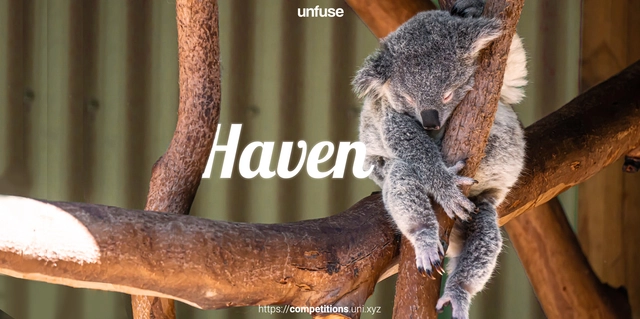 Haven - Habitat for Koalas - Featured Image