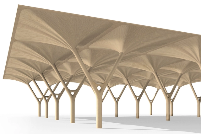 Piezas estructurales y ligeras de madera basadas en la inteligencia natural de los árboles - Sustentabilidad